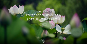 July Patreon - Photographer and Graphic Designer